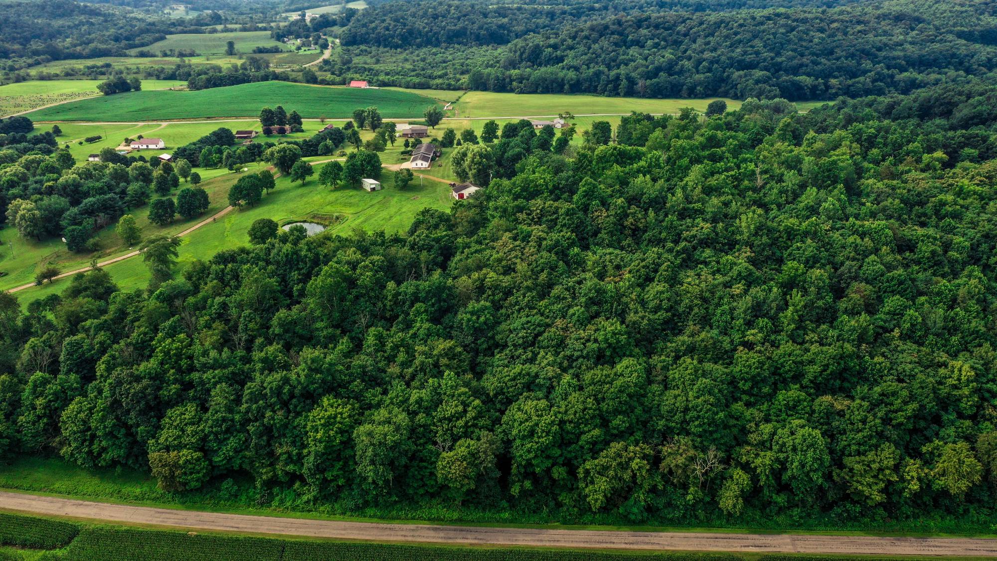 Willis Yoder Real Estate & Chattel Auction featured photo 8