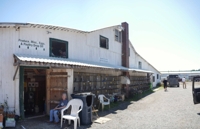 Carrollton Livestock Market Auction  featured photo 7