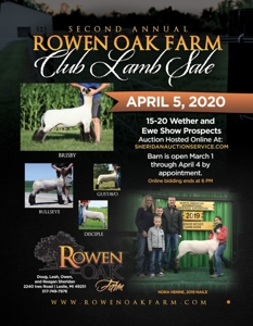 Rowen Oak Club Lamb Sale featured photo