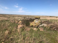 NOBLE COUNTY, OKLAHOMA LAND AUCTION- 235 +/- ACRES GRASS-Sells as 1 unit featured photo 2