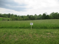 Building Lots in Wilderness Crest Subdivision at Absolute Online Auction featured photo 1