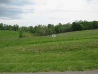 Building Lots in Wilderness Crest Subdivision at Absolute Online Auction featured photo 2