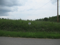 Building Lots in Wilderness Crest Subdivision at Absolute Online Auction featured photo 3