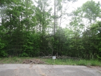 Building Lots in Wilderness Crest Subdivision at Absolute Online Auction featured photo 5