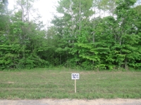 Building Lots in Wilderness Crest Subdivision at Absolute Online Auction featured photo 7
