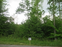 Building Lots in Wilderness Crest Subdivision at Absolute Online Auction featured photo 8