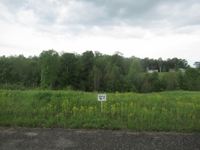 Building Lots in Wilderness Crest Subdivision at Absolute Online Auction featured photo 9