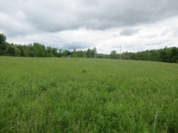 Building Lots in Wilderness Crest Subdivision at Absolute Online Auction featured photo 10