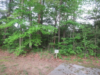 Building Lots in Wilderness Crest Subdivision at Absolute Online Auction featured photo 6