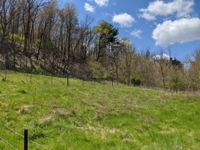 Home & Pole Building on 4 Acres in New Philadelphia featured photo 8