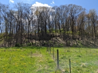 Home & Pole Building on 4 Acres in New Philadelphia featured photo 9