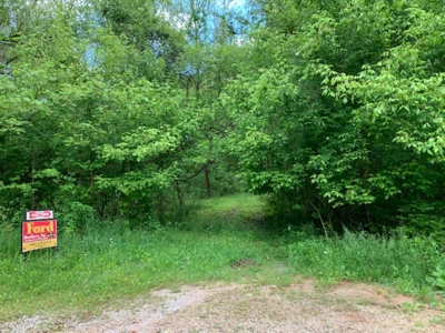 46 Acres in Somerset, Ky at Absolute Online Multi-Par Auction featured photo 5