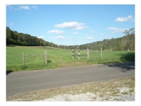 May 23: 188 acres near historic Dandridge TN and Exit 417 of I-40 featured photo 1