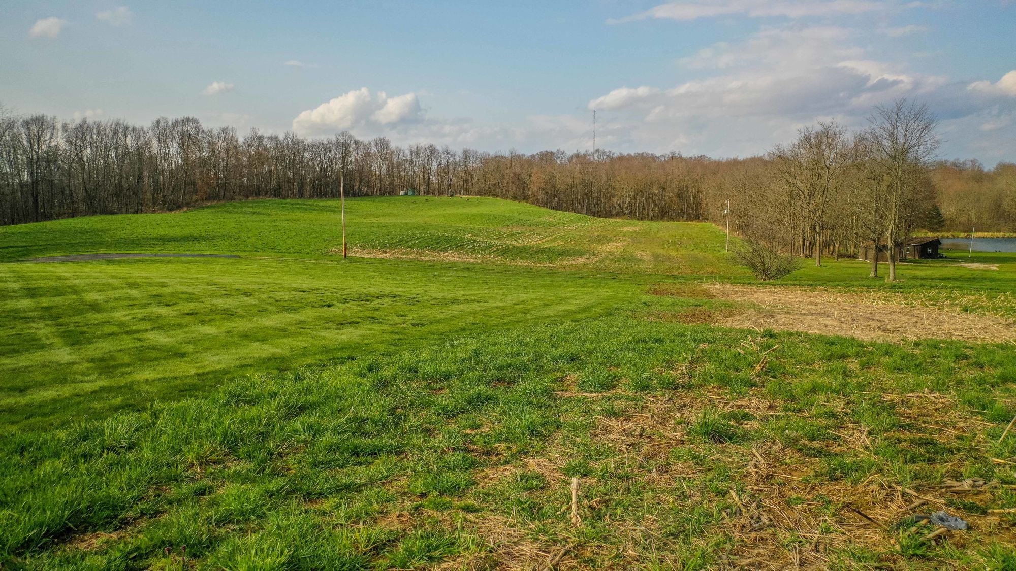 Absolute Steele Real Estate & Chattel Auction featured photo 9
