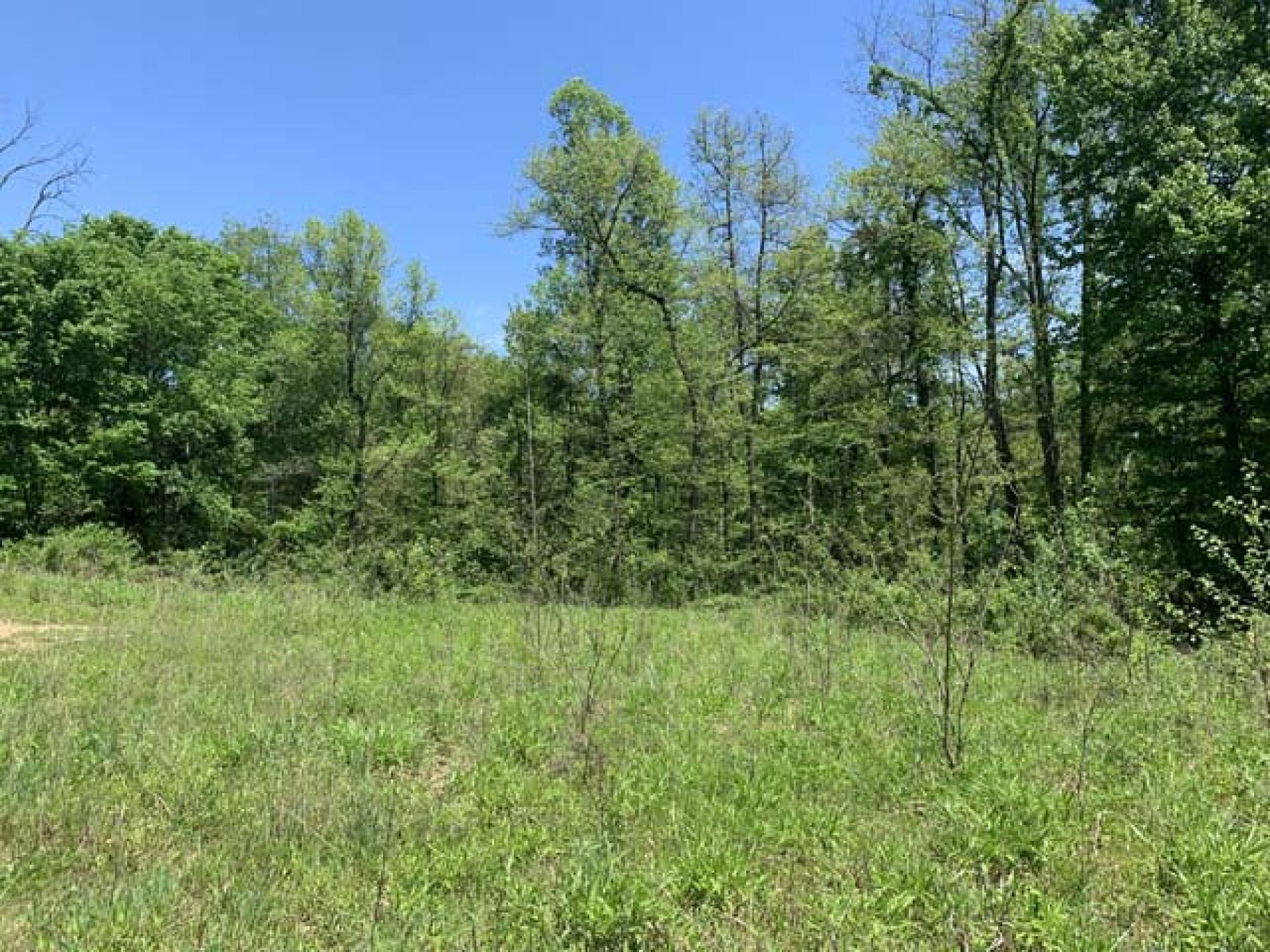 Roswell Area Land Auction featured photo 1