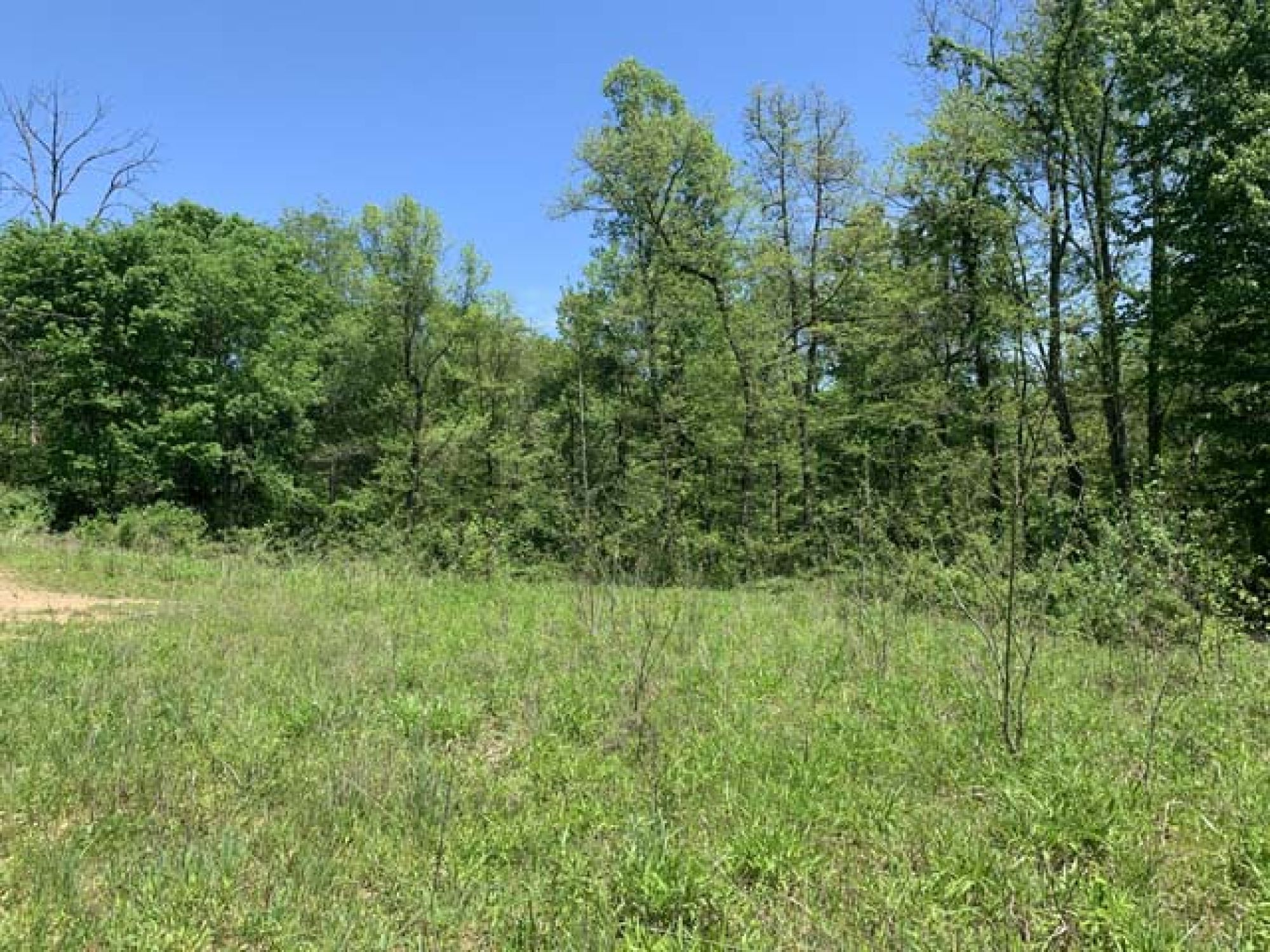 Roswell Area Land Auction featured photo 2