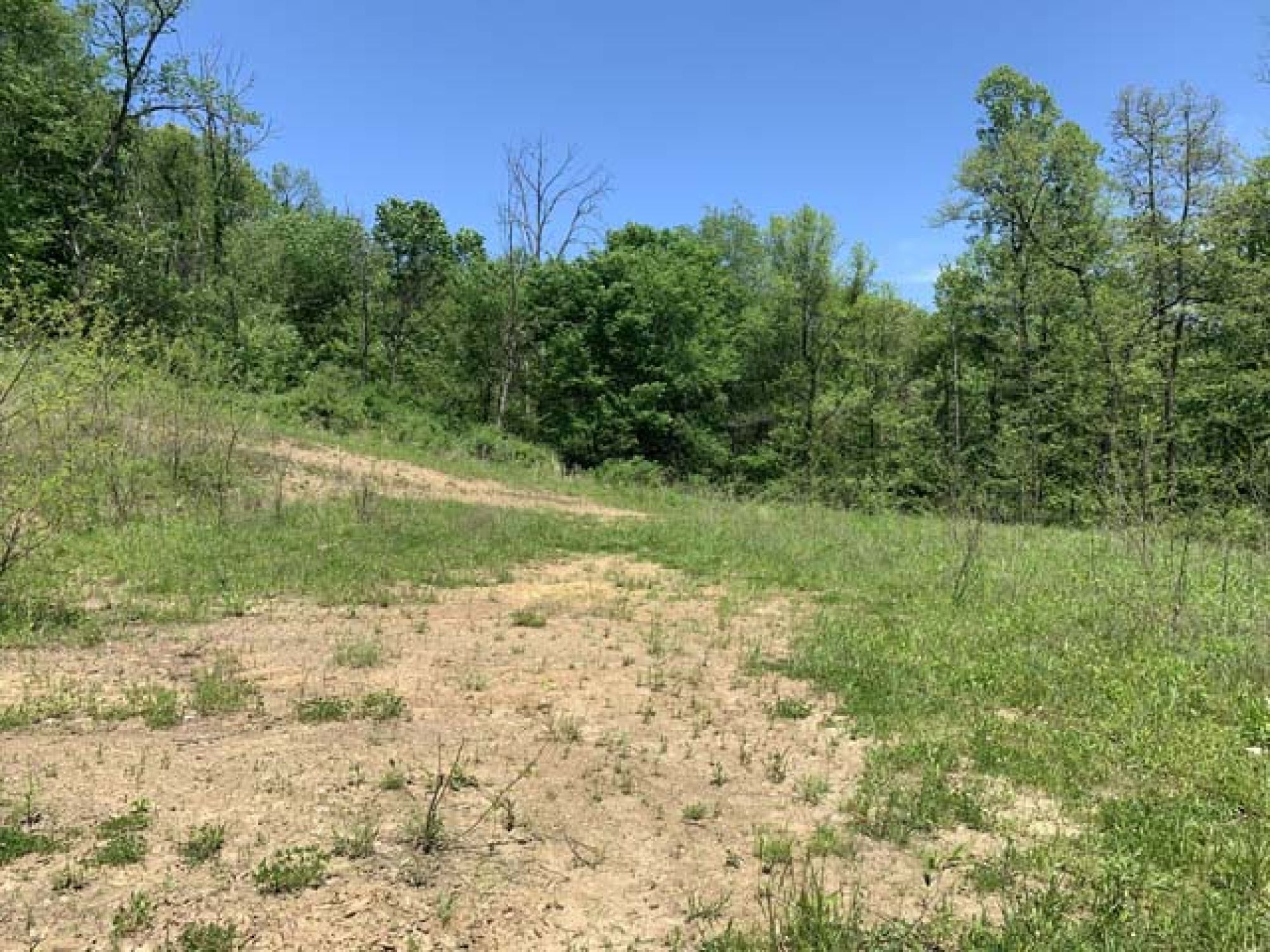 Roswell Area Land Auction featured photo 3