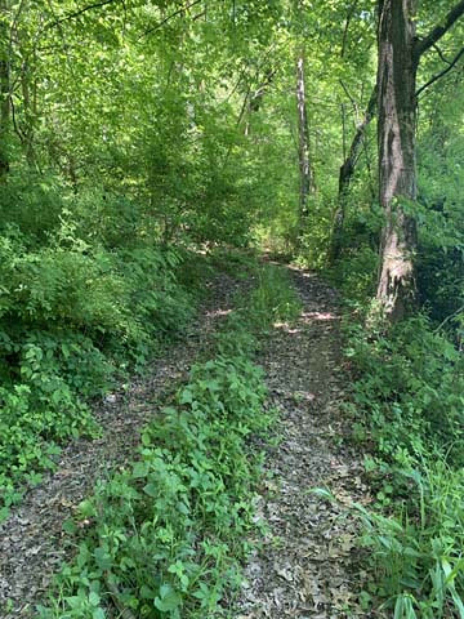 Roswell Area Land Auction featured photo 6