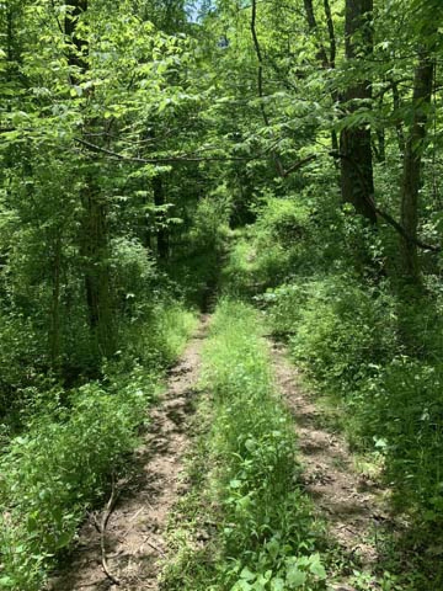 Roswell Area Land Auction featured photo 8
