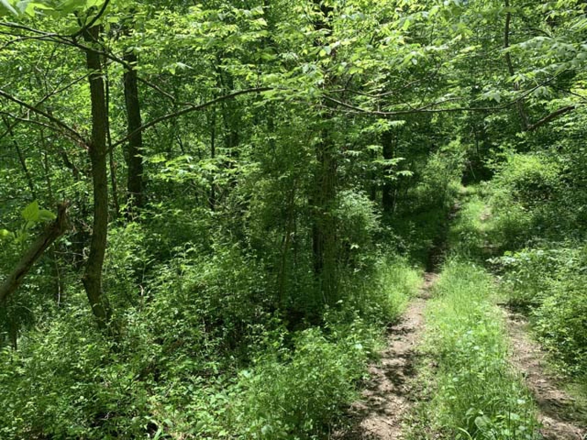 Roswell Area Land Auction featured photo 9