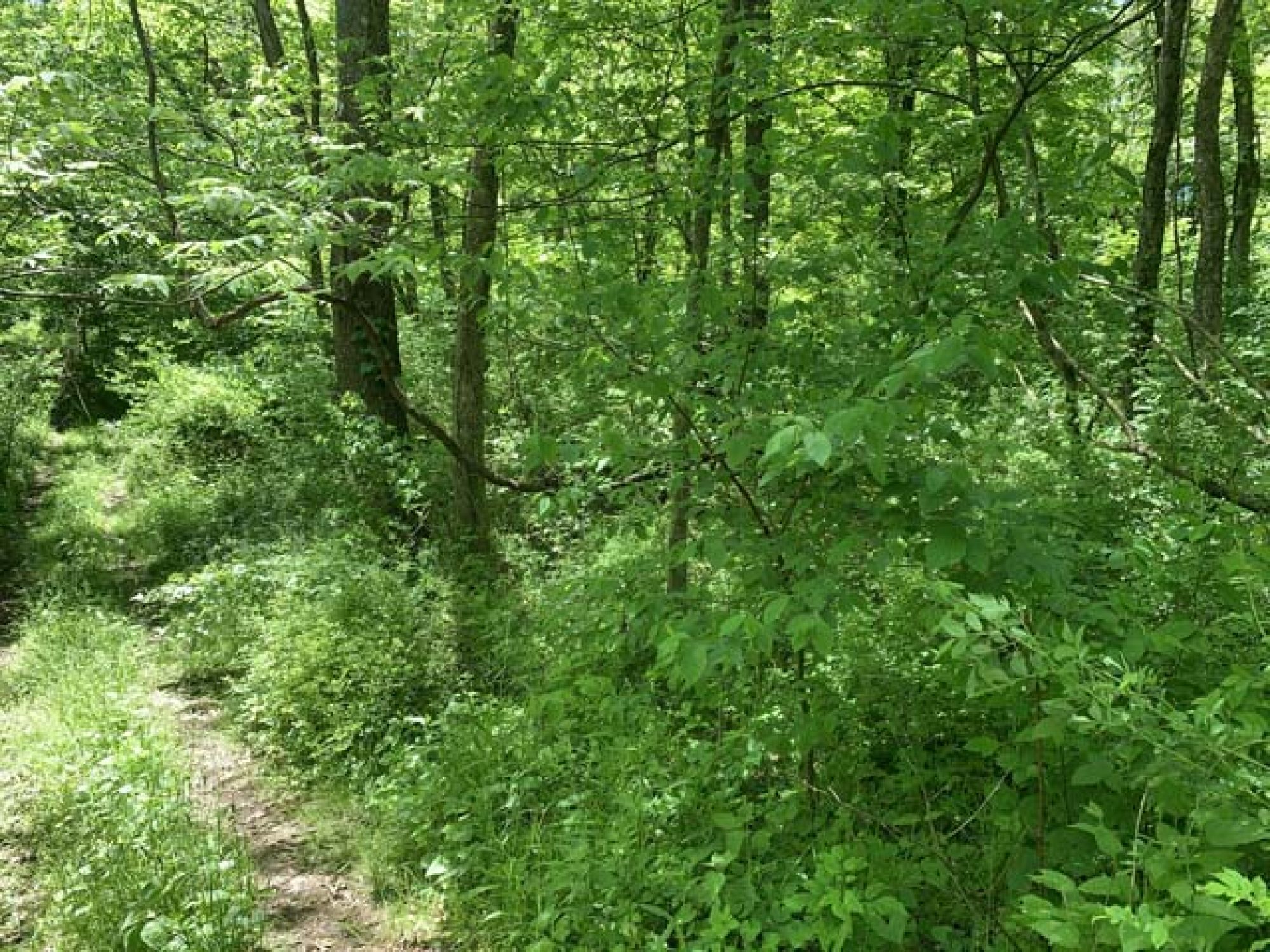 Roswell Area Land Auction featured photo 10