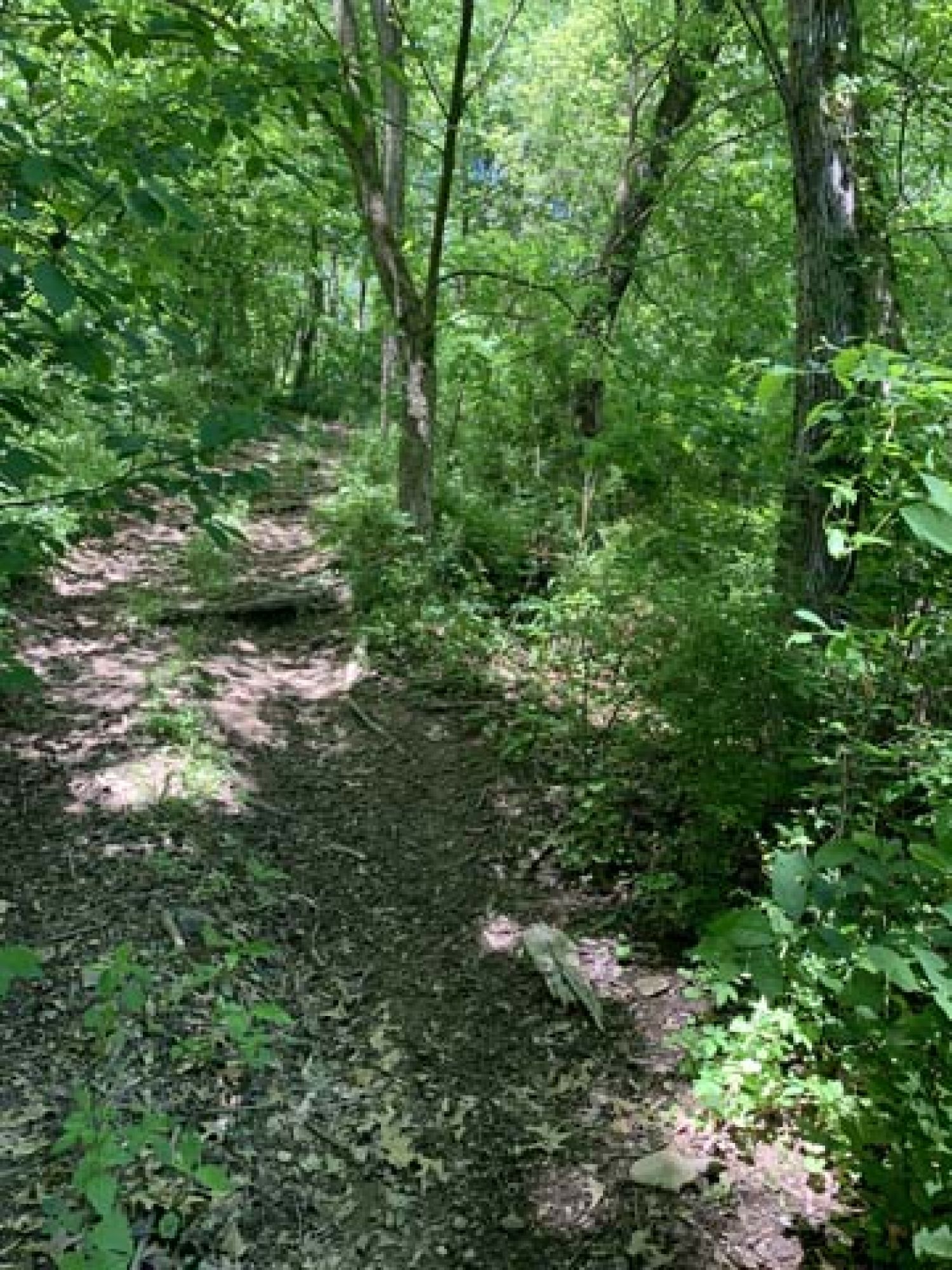 Roswell Area Land Auction featured photo 11