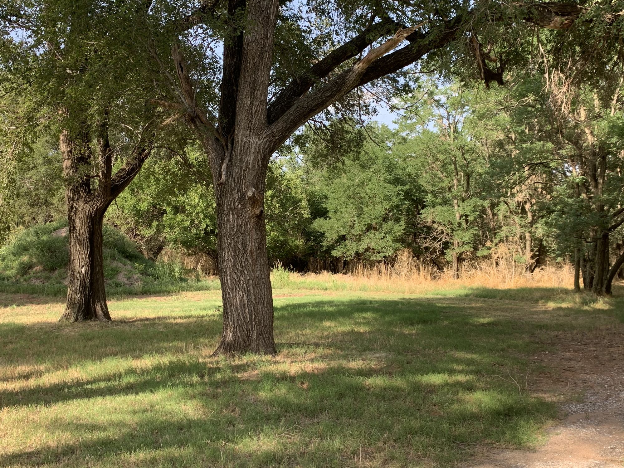 SOLD! $890,000 - Rusty Joe Dunavant Trust Land Auction - 480± Acres of  Alfalfa County Land featured photo 6