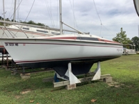 15 Boats – Live & Online Bidding featured photo 7