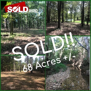 SOLD BEFORE AUCTION!! 64 Acres ~ 2 Tracts located on Highway 141 featured photo