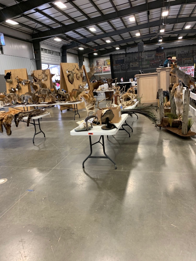 Mid Ohio Taxidermy Auction featured photo 1