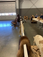 Mid Ohio Taxidermy Auction featured photo 2