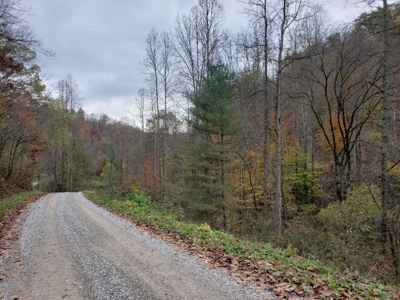 98 Acres More or Less of the Mobley Family at Absolute Online Auction featured photo
