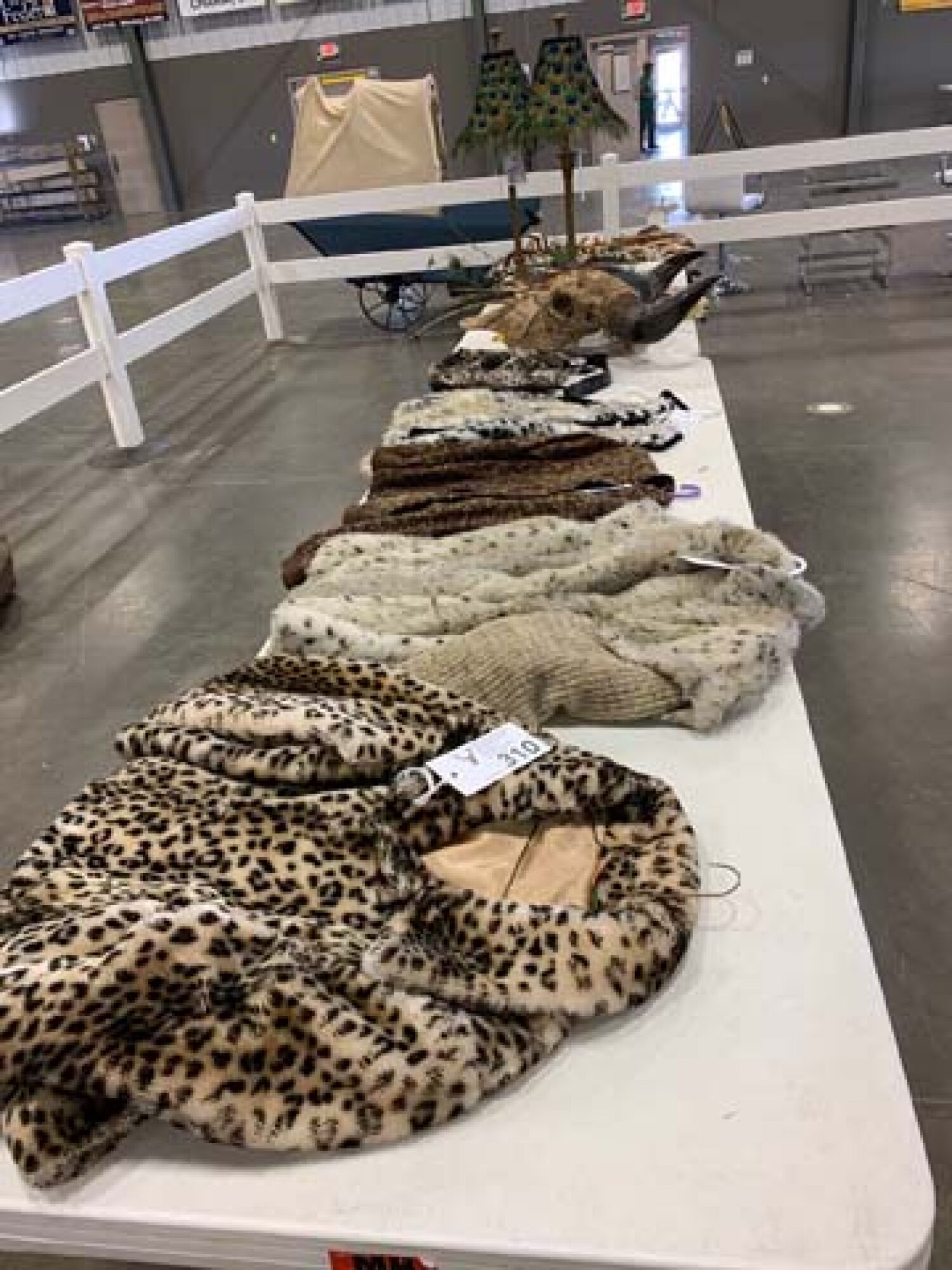 Mid-Ohio Taxidermy Auction featured photo 3