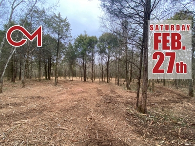 AUCTION featuring 32+/- Acres Offered in 5 Tracts - Soil Sites & Utilities Available featured photo