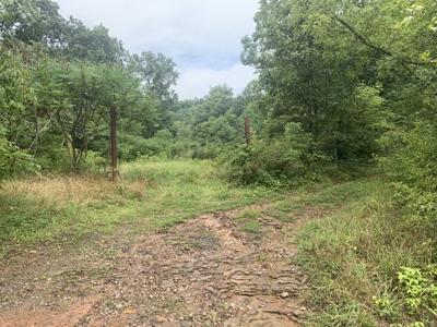 Absolute 41 Acre Harrison County Land & Cabin featured photo 1