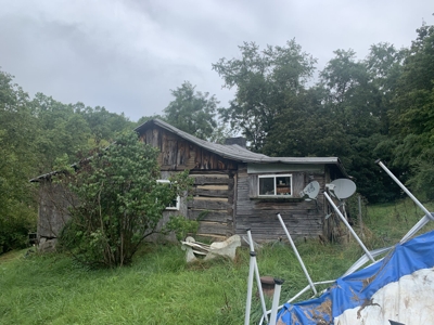 Absolute 41 Acre Harrison County Land & Cabin featured photo 8