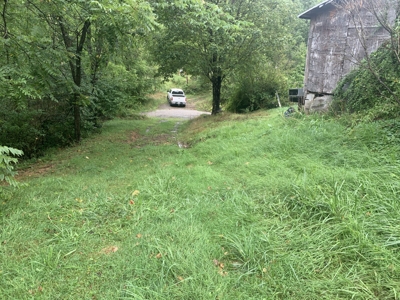 Absolute 41 Acre Harrison County Land & Cabin featured photo 9