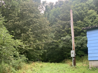 Absolute 41 Acre Harrison County Land & Cabin featured photo 10