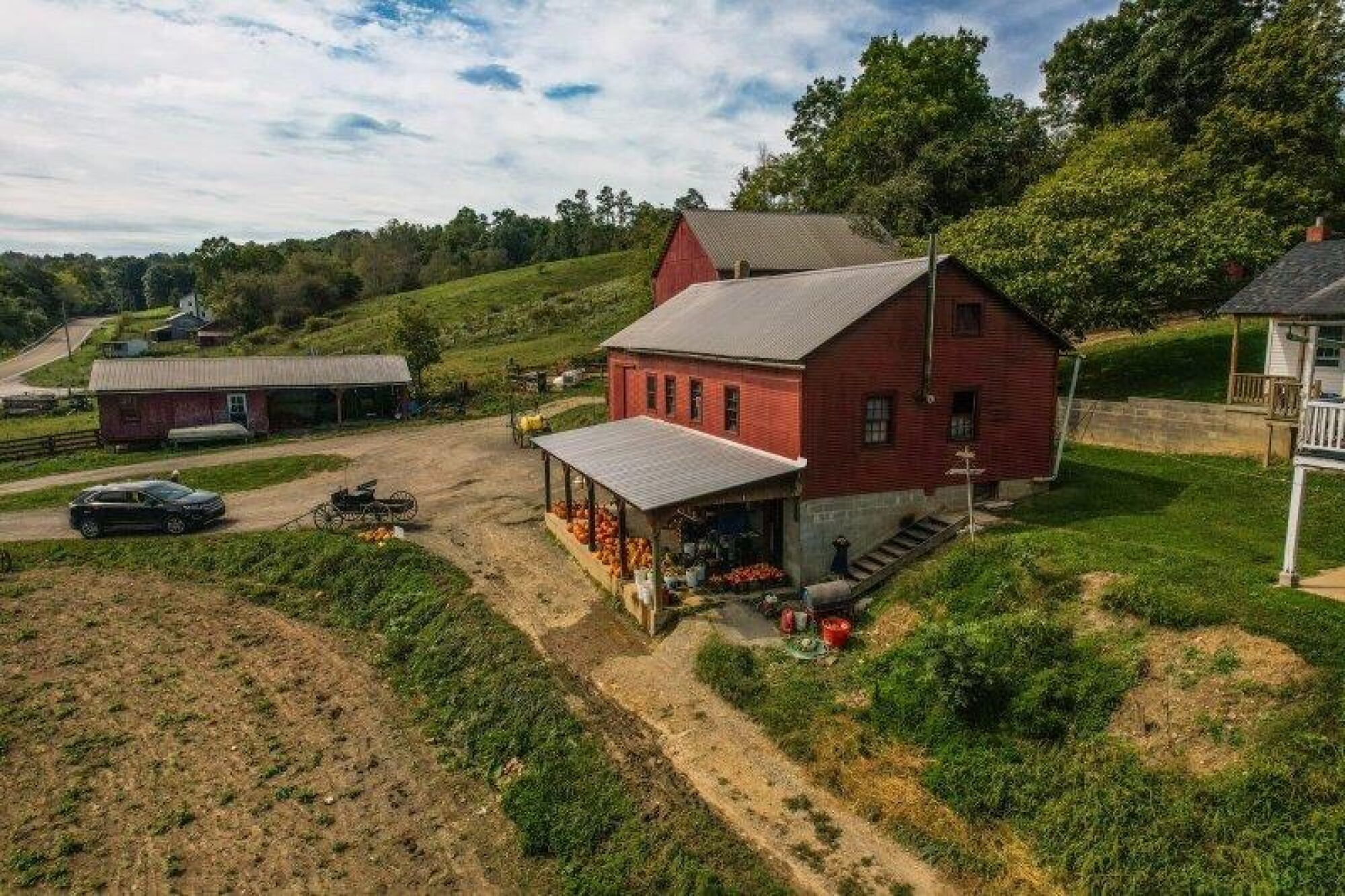 Belmont County Land and Mineral Auction * 100 Acre Farm featured photo 8