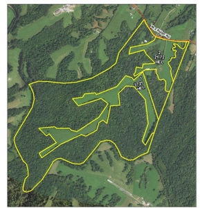 Two Shelby County Farms: 234 Acres-11.48 Acres at Auction featured photo