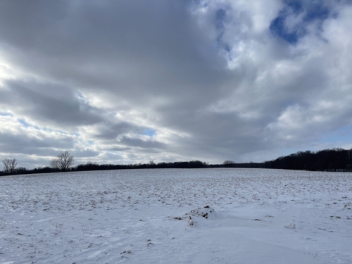 88 +/- Acres With 2 Bed/ 1 Bath Home Located at 2630 W. Brewer Rd. Owosso, MI featured photo