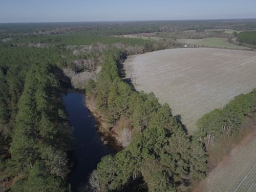 E.W. Booth Estate | 106 ± Acres | Warrior Creek | Timberland | Worth Co., GA featured photo