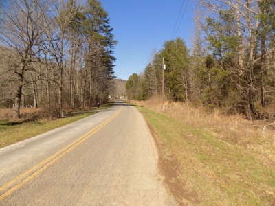 32 Acres * All Wooded * Live Auction w/Online Bidding featured photo