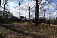 5 Building Estate Tracts Near Tims Ford Lake - 6+/- to 8+/- Acres Each - Online Auction ends July 7th featured photo 8