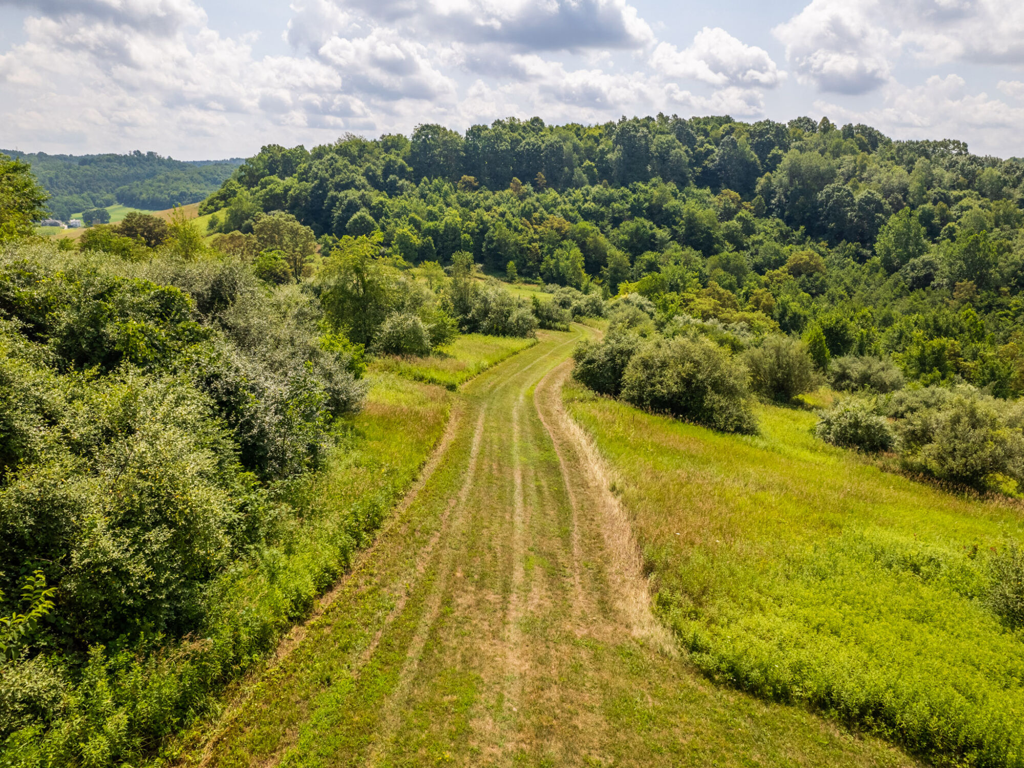 41+ Acres in a Retreatlike Setting featured photo 4