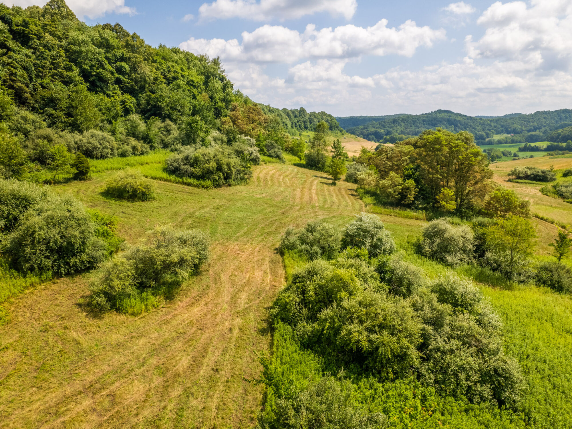 41+ Acres in a Retreatlike Setting featured photo 6