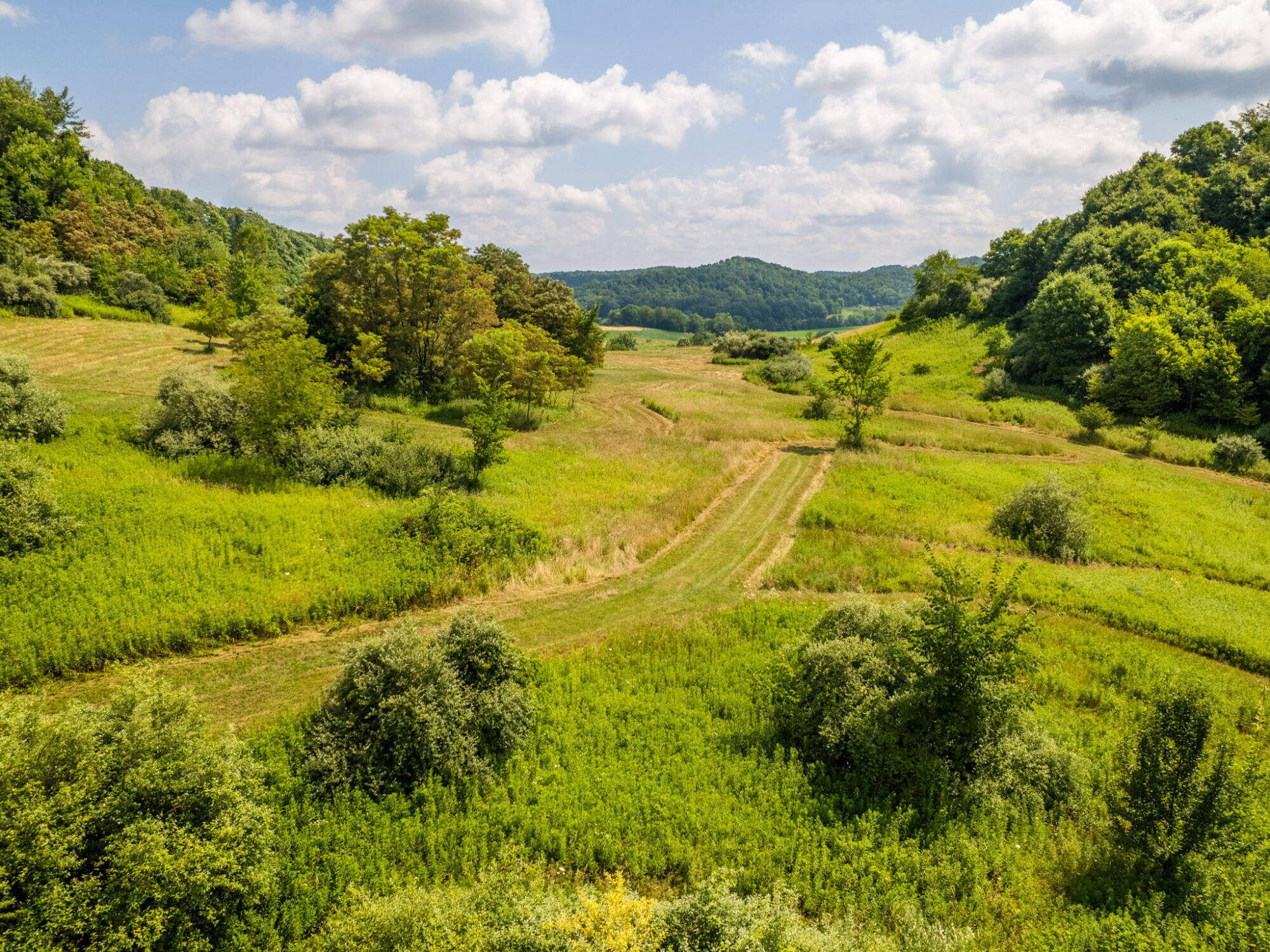 41+ Acres in a Retreatlike Setting featured photo 7