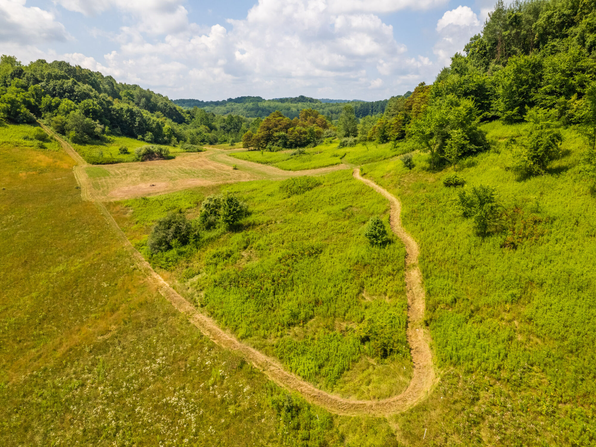 41+ Acres in a Retreatlike Setting featured photo 8