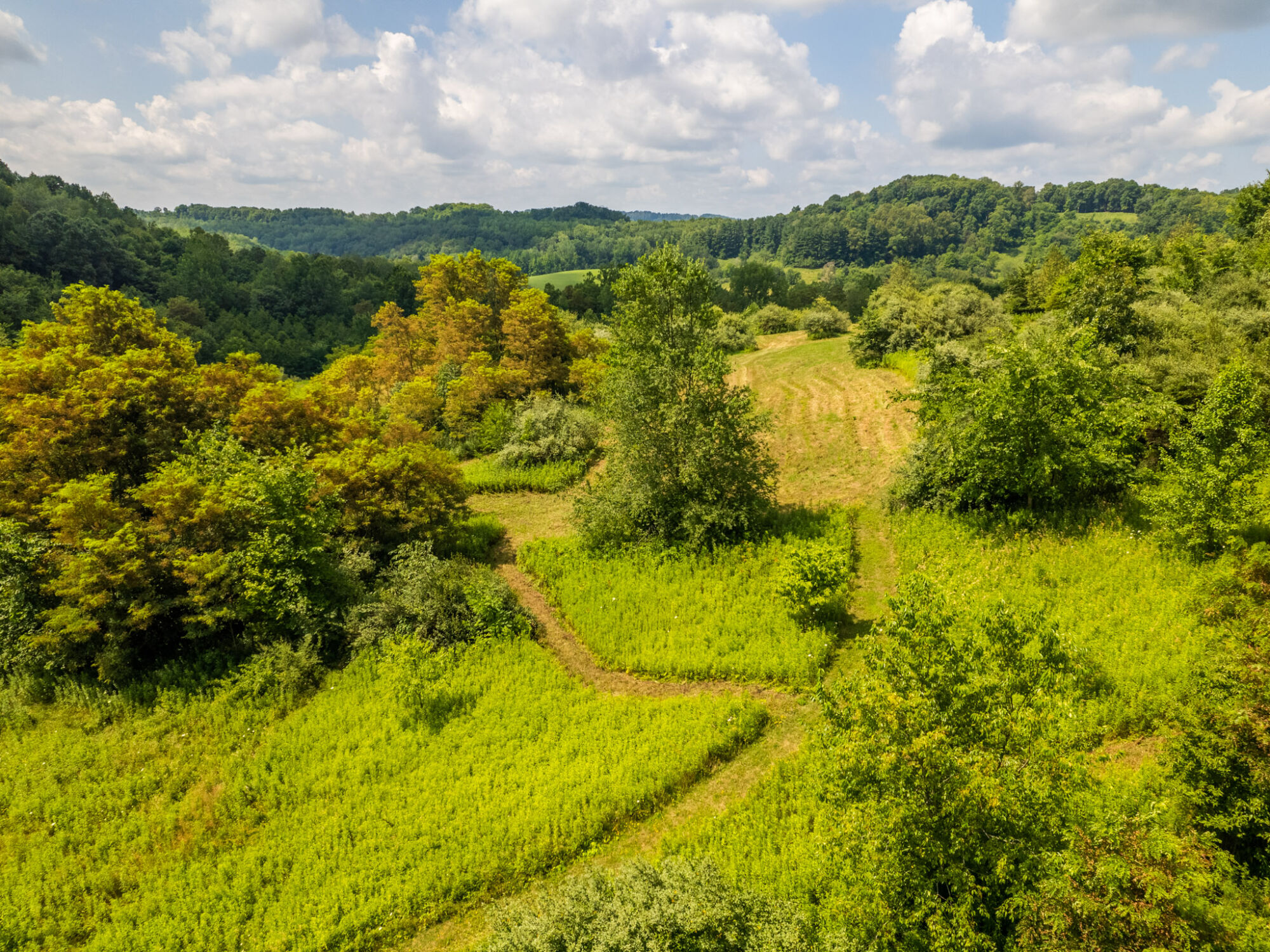 41+ Acres in a Retreatlike Setting featured photo 10