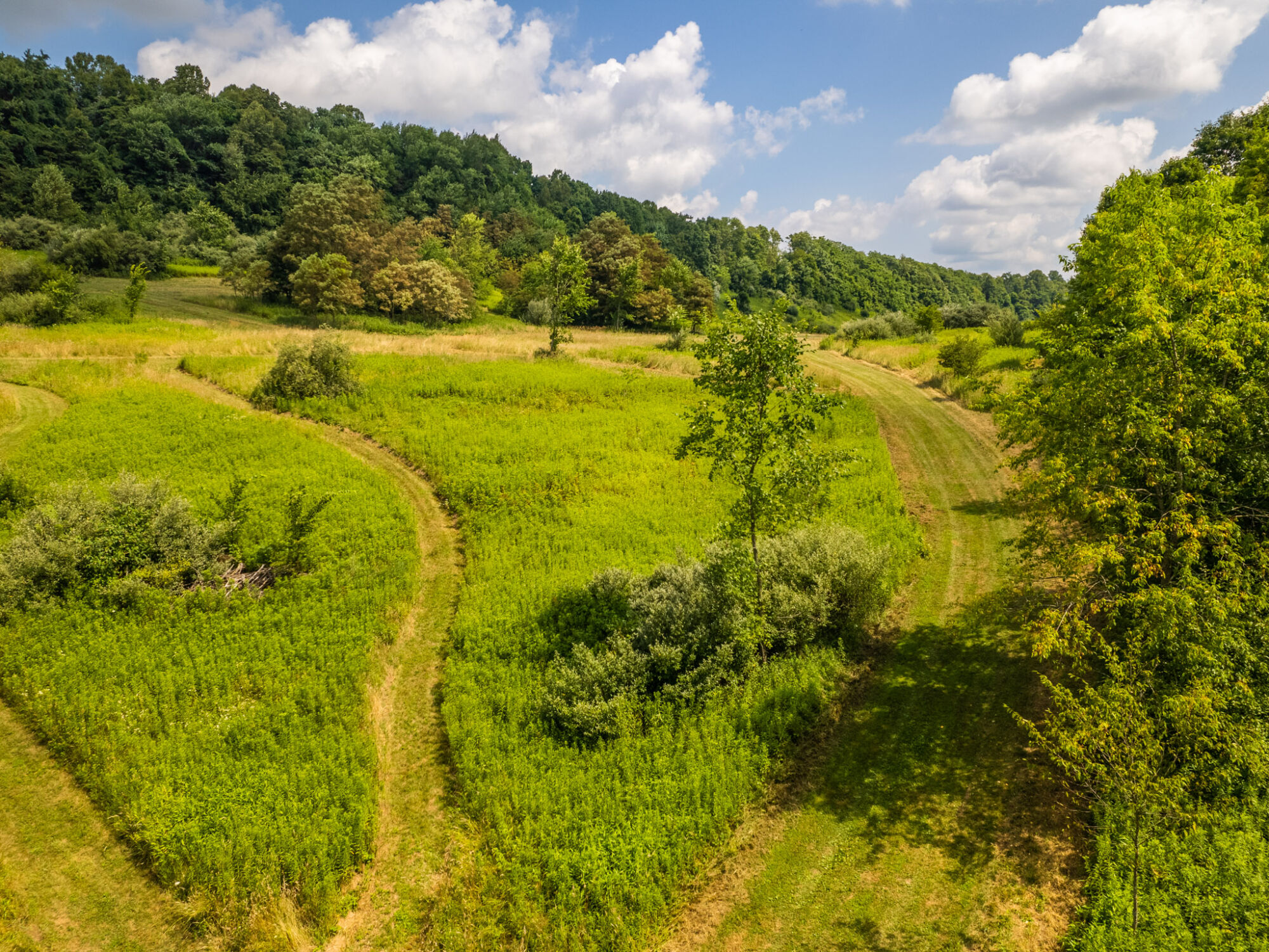 41+ Acres in a Retreatlike Setting featured photo 11